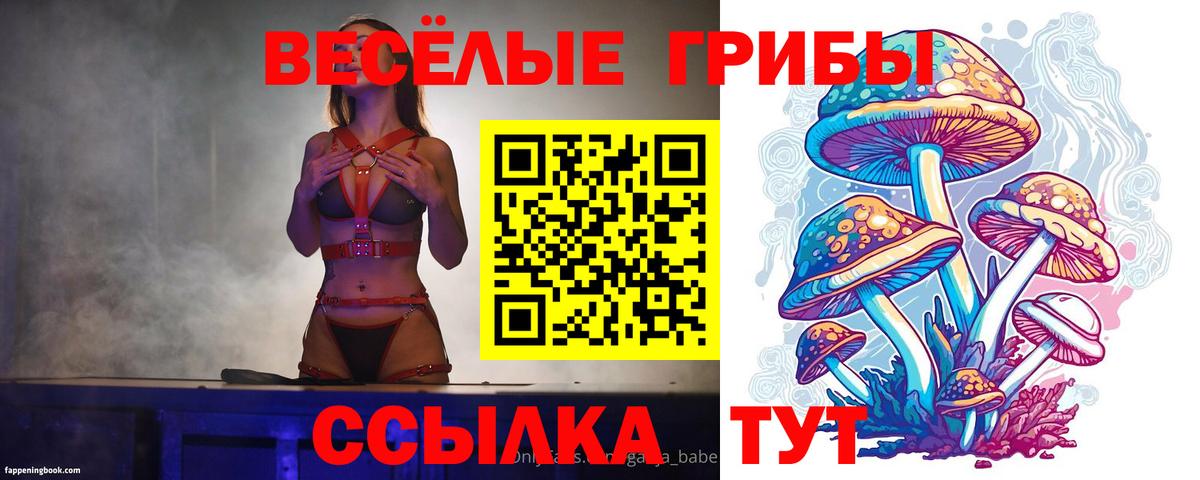 Галлюциногенные грибы MAGIC MUSHROOMS  Псилоцибиновые грибы Magic Shrooms  Вход с VPN  цены   Тула 